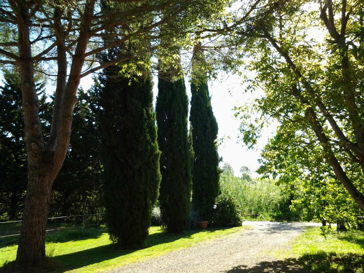 Agriturismo Piana Arborello Otel Magliano in Toscana Dış mekan fotoğraf