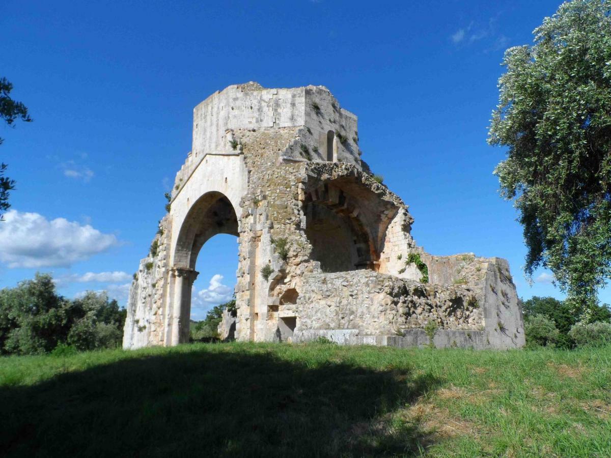Agriturismo Piana Arborello Otel Magliano in Toscana Dış mekan fotoğraf