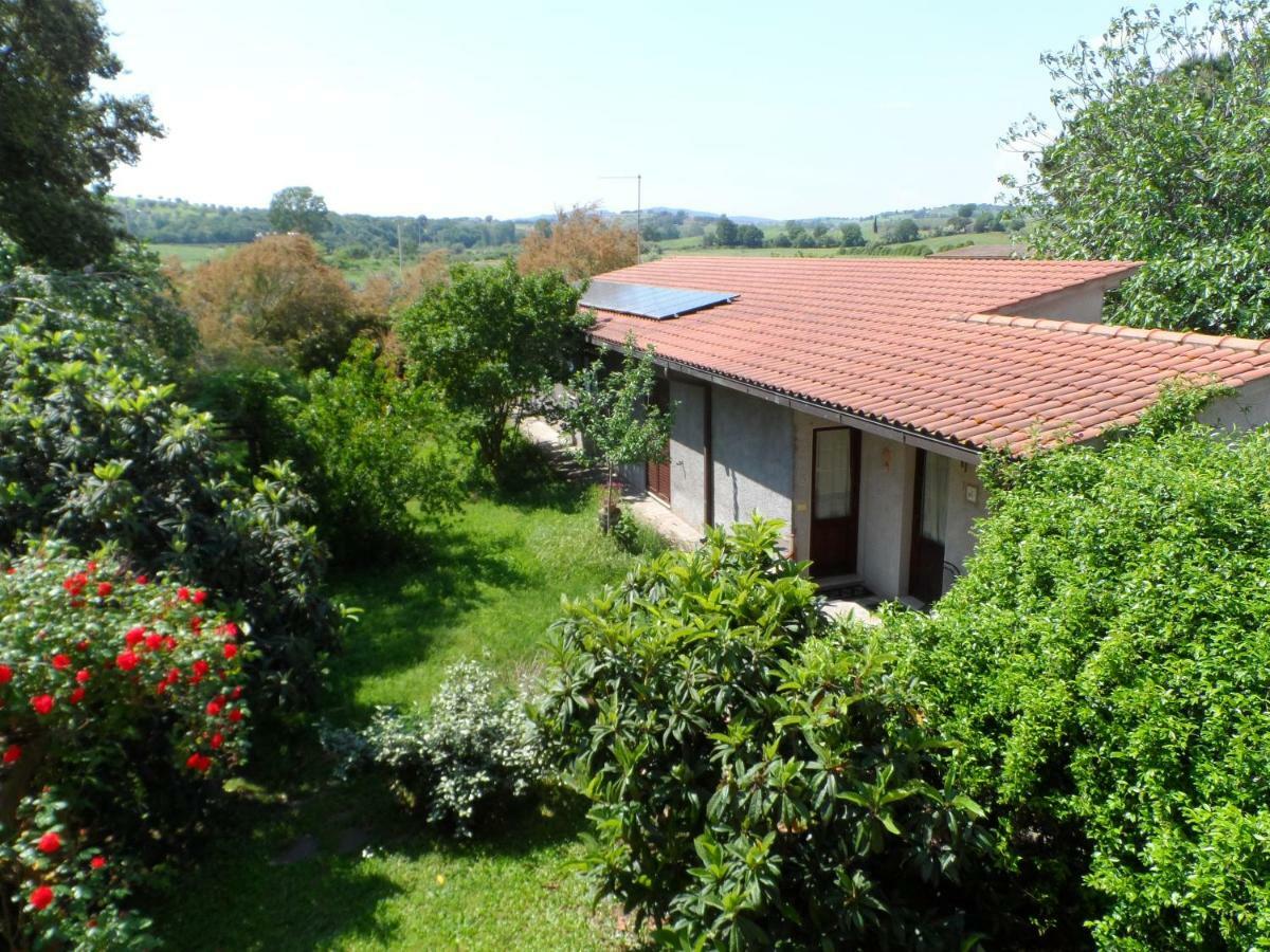 Agriturismo Piana Arborello Otel Magliano in Toscana Dış mekan fotoğraf