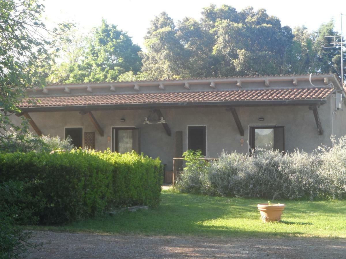 Agriturismo Piana Arborello Otel Magliano in Toscana Dış mekan fotoğraf