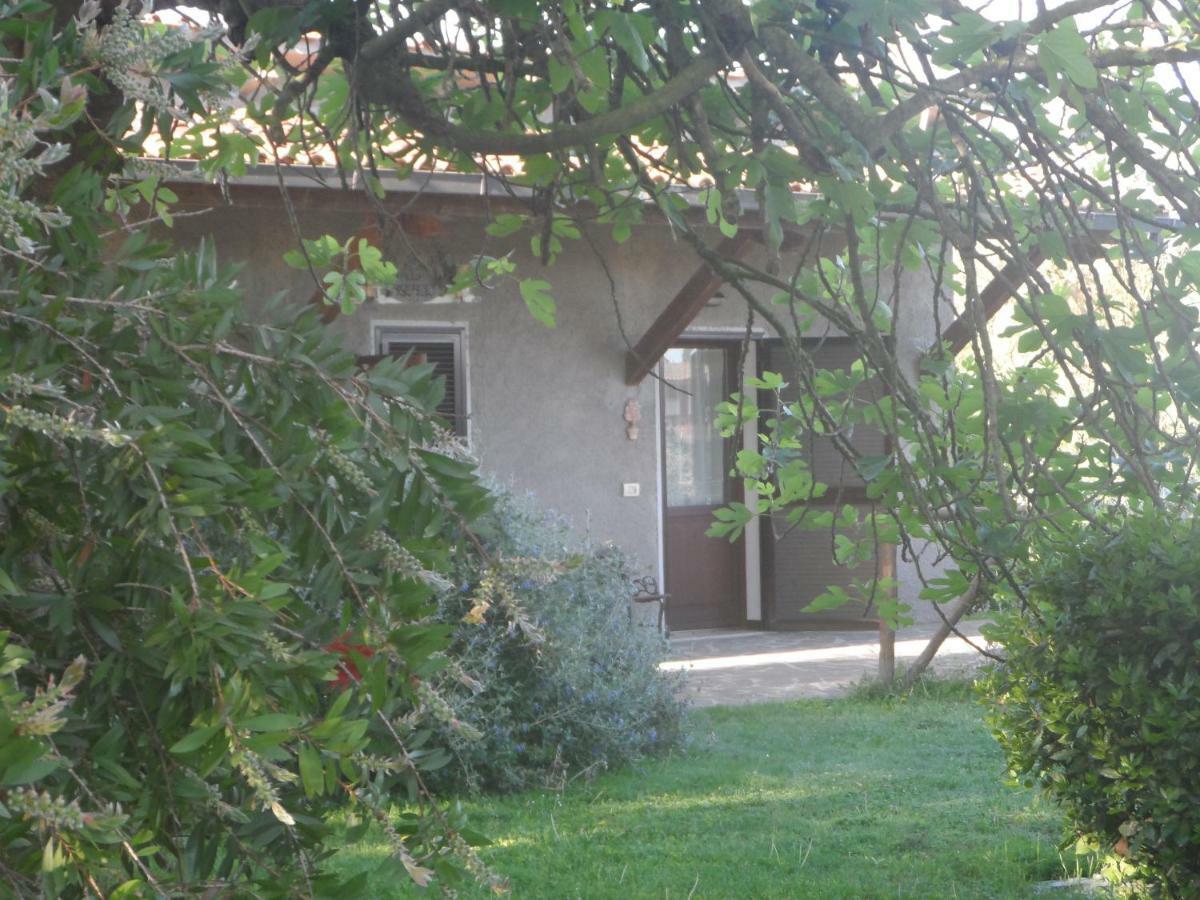 Agriturismo Piana Arborello Otel Magliano in Toscana Dış mekan fotoğraf
