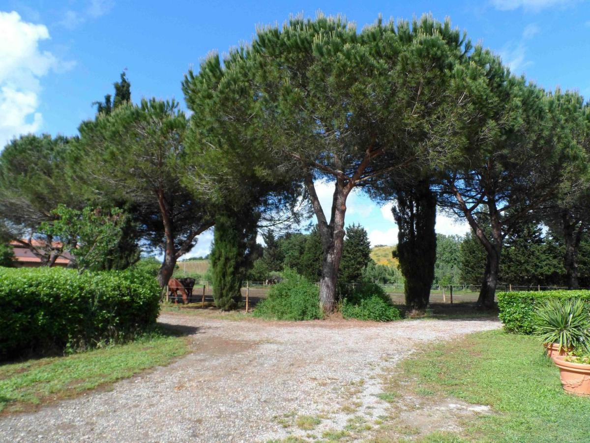 Agriturismo Piana Arborello Otel Magliano in Toscana Dış mekan fotoğraf