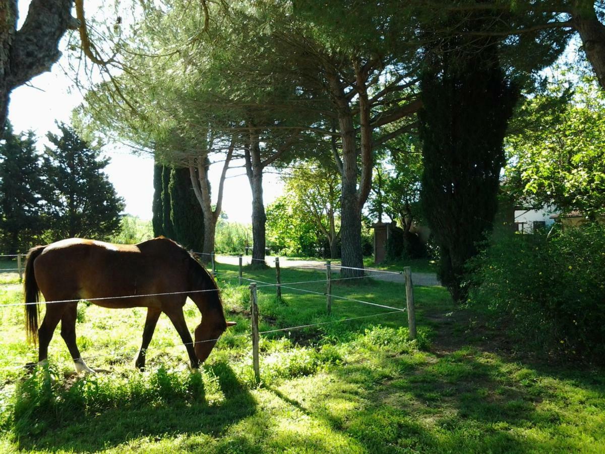 Agriturismo Piana Arborello Otel Magliano in Toscana Dış mekan fotoğraf