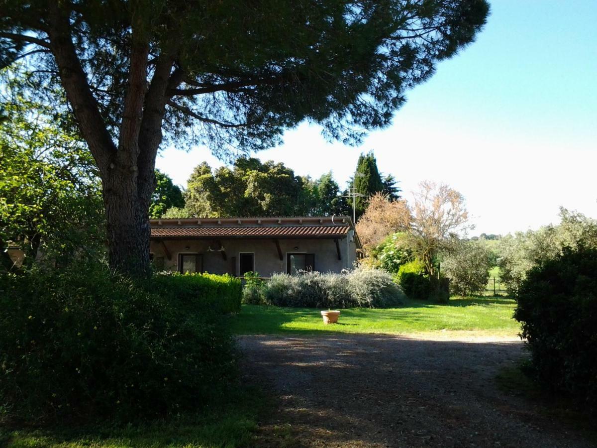 Agriturismo Piana Arborello Otel Magliano in Toscana Dış mekan fotoğraf