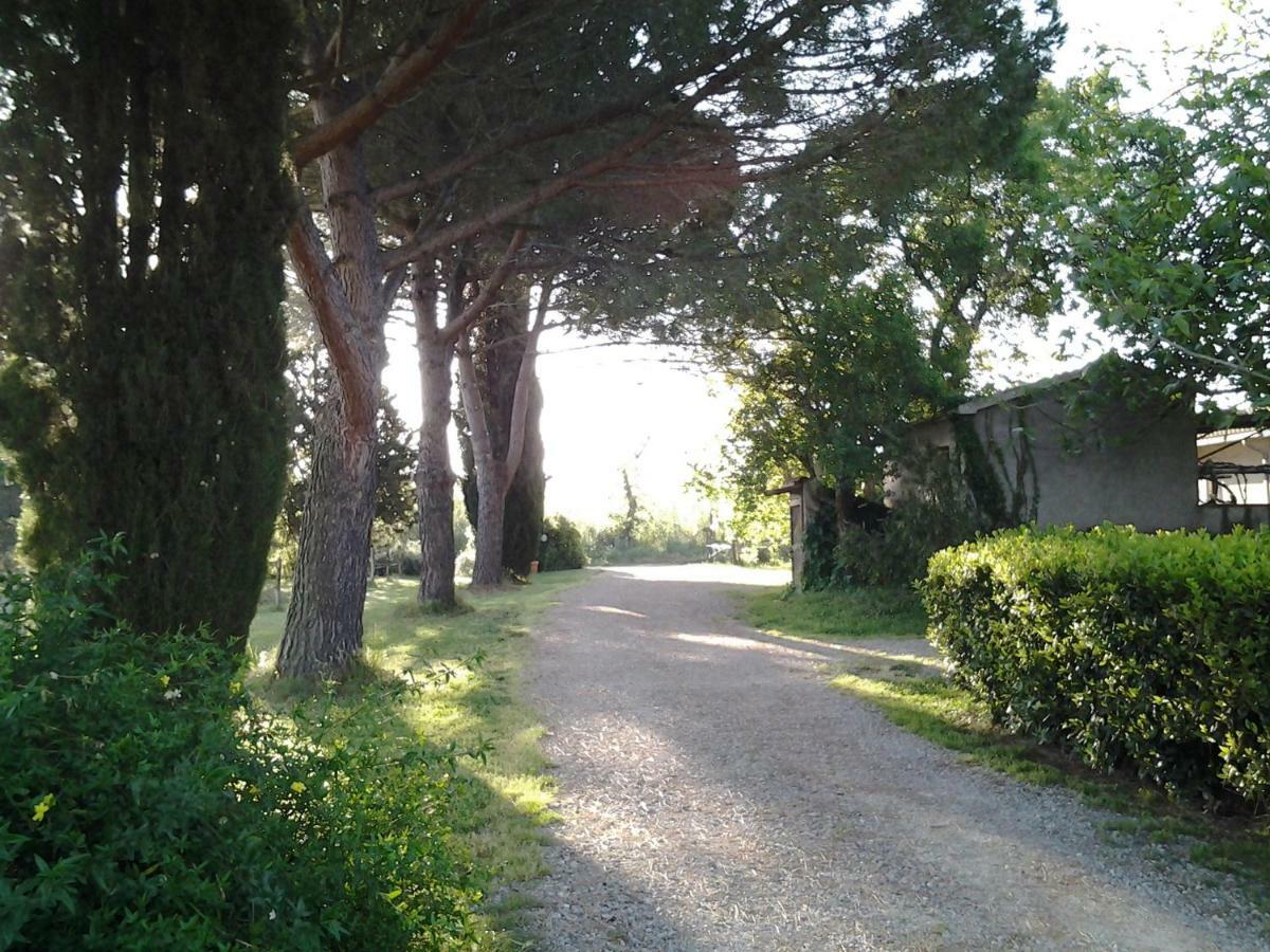 Agriturismo Piana Arborello Otel Magliano in Toscana Dış mekan fotoğraf