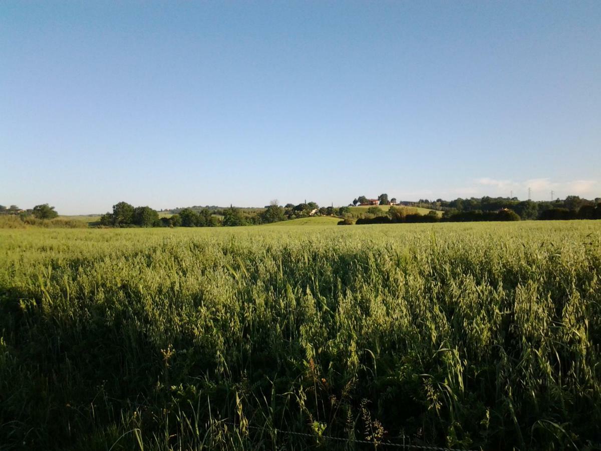 Agriturismo Piana Arborello Otel Magliano in Toscana Dış mekan fotoğraf